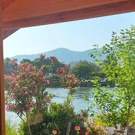 Caunos